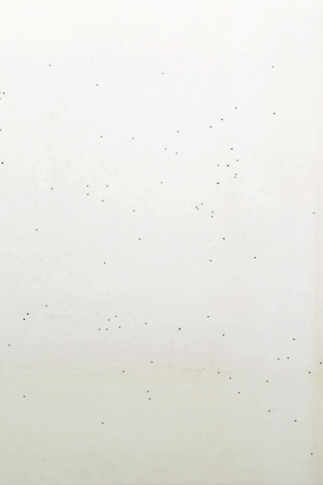 Shanta Rao, Sans titre, 2015, linoléum et enfoncements sur bois, 140 x 110 cm © Courtesy de l'artiste et Galerie Nathalie Obadia Paris / Bruxelles