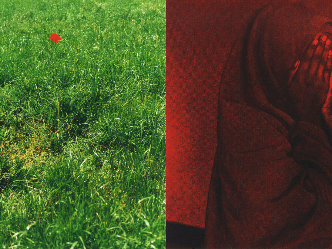 WWWSOY_011, (detail)