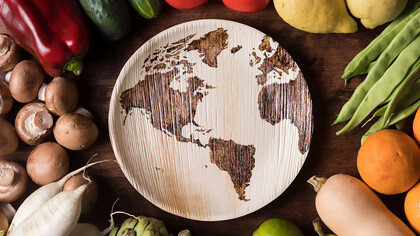 Arrangement of fresh vegetables artfully displayed on a plate featuring a scratched globe design