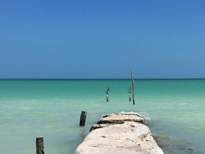 Holbox forma parte de la Reserva de la Biosfera y Área de Protección de Flora y Fauna Yum Balam