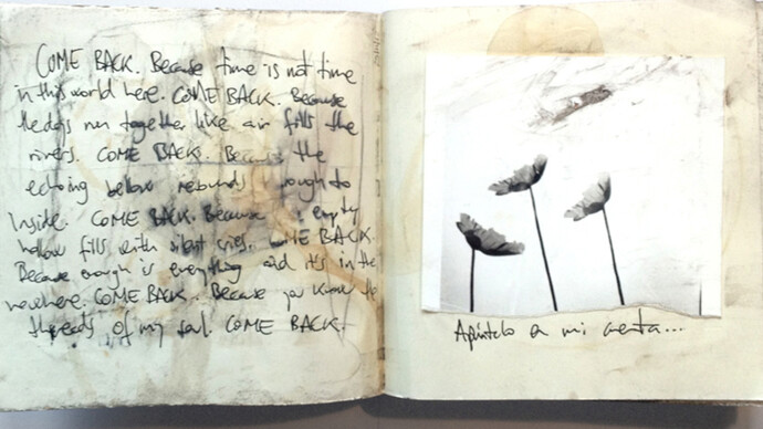 Juanan Requena, Diary #32 - 21