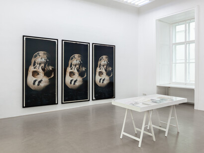 Ulay, ausstellungsansicht. Mit freundlicher genehmigung der Charim Galerie