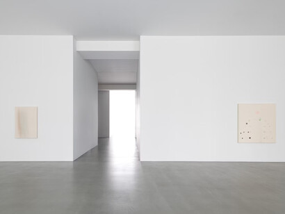 Cathy Wilkes, exhibition view. Courtesy of Xavier Hufkens