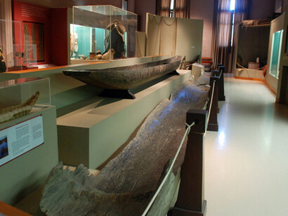 Espejos culturales. Courtesy of Museo de La Plata