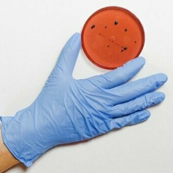 La démarche scientifique est tout sauf linéaire
