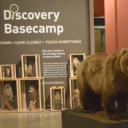 Discovery Basecamp. Courtesy of Carnegie Museum of Natural History