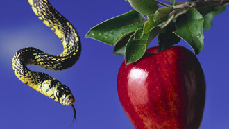 Il peccato originale