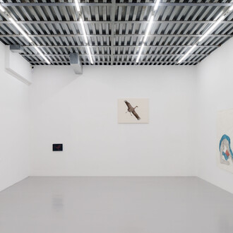 Marta Roberti, Due mondi, e io vengo dall'altro, vista della mostra. Per gentile concessione di z2o Sara Zanin