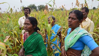 Deccan Development Society (India) farmers - climate transition needs to support agroecological alternatives like these @ Ashish Kothari