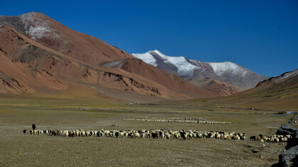 Ladakh (India) pastures are crucial for pastoralists but threatened by mega-energy projects © Ashish Kothari