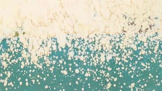 Emmanuel Barcilon, untitled, 2011, pure pigments, varnish, wood, 200 x 153 cm