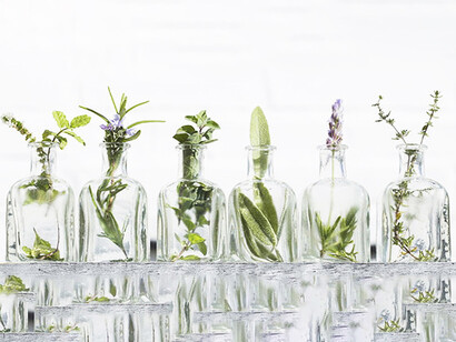 In origine la pianta aromatica nasce come strumento della divinità per comunicare con l’uomo e successivamente utilizzata a scopo cosmetico, erboristico e medico