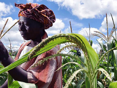 Rural livelihoods