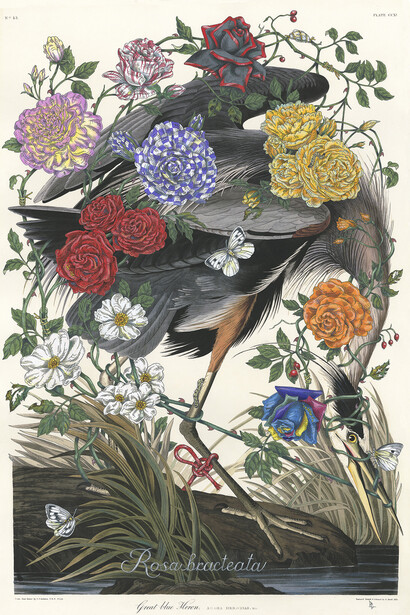 Penelope Gottlieb, Rosa bracteate, 2024. Courtesy of Gerald Peters Gallery