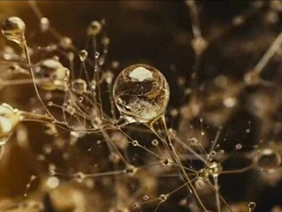 Movimento e trasformazione