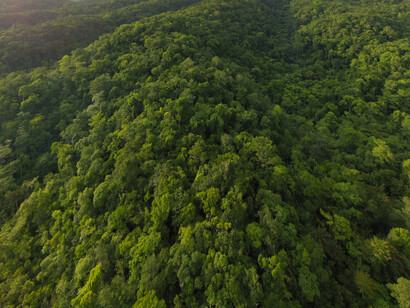 En las profundidades del la Selva de Petén en Guatemala