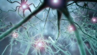 Una persona con parkinsonismo (síndrome parkinsoniano) puede padecer o no enfermedad de Parkinson
