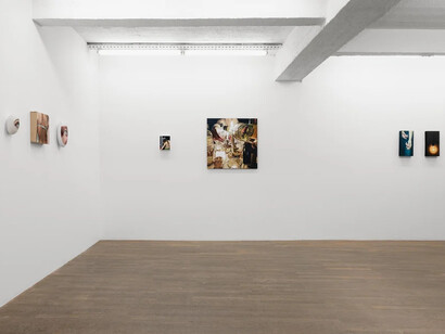 France Bizot, Natures molles, exhibition view. Courtesy of Backslash Gallery