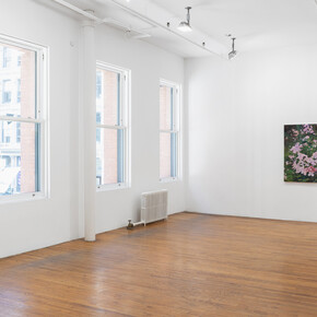 Various artists, Constellations, exhibition view. Courtesy of 47 Canal