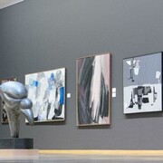 Museo de Belas Artes da Coruña