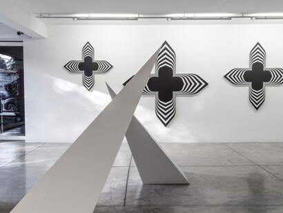 Philippe Decrauzat. Courtesy of Galeria Nara Roesler