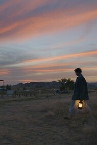 Nomadland, domina la classifica nelle sale cinematografiche 