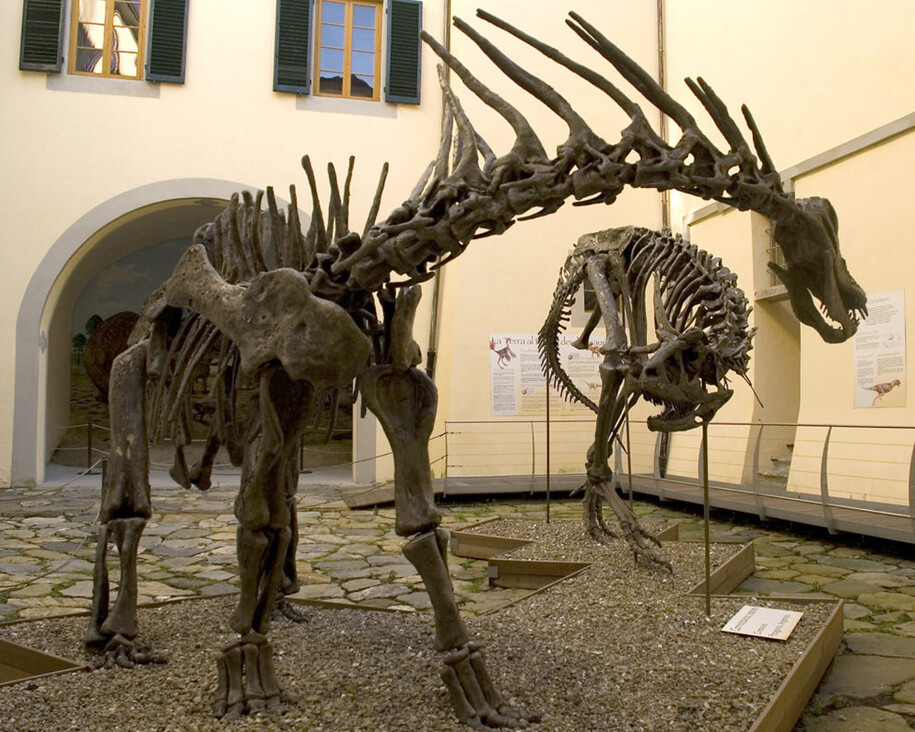 The dinosaurs rooms and courtyard. Courtesy of Museo di Storia Naturale