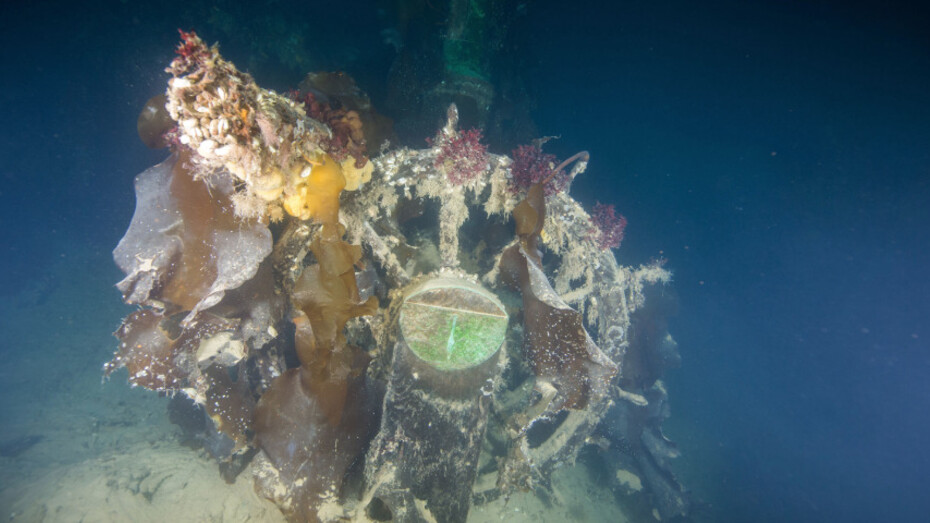 The Franklin Exploration. Courtesy of ROM