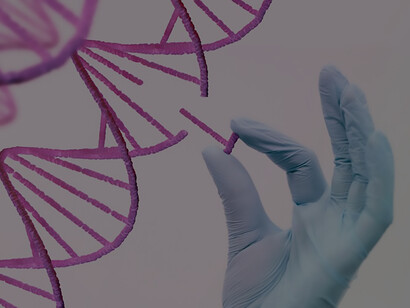 Dive into the fascinating world of genomic imprinting and parental conflict through this visually engaging collage, showcasing DNA representations and scientific exploration