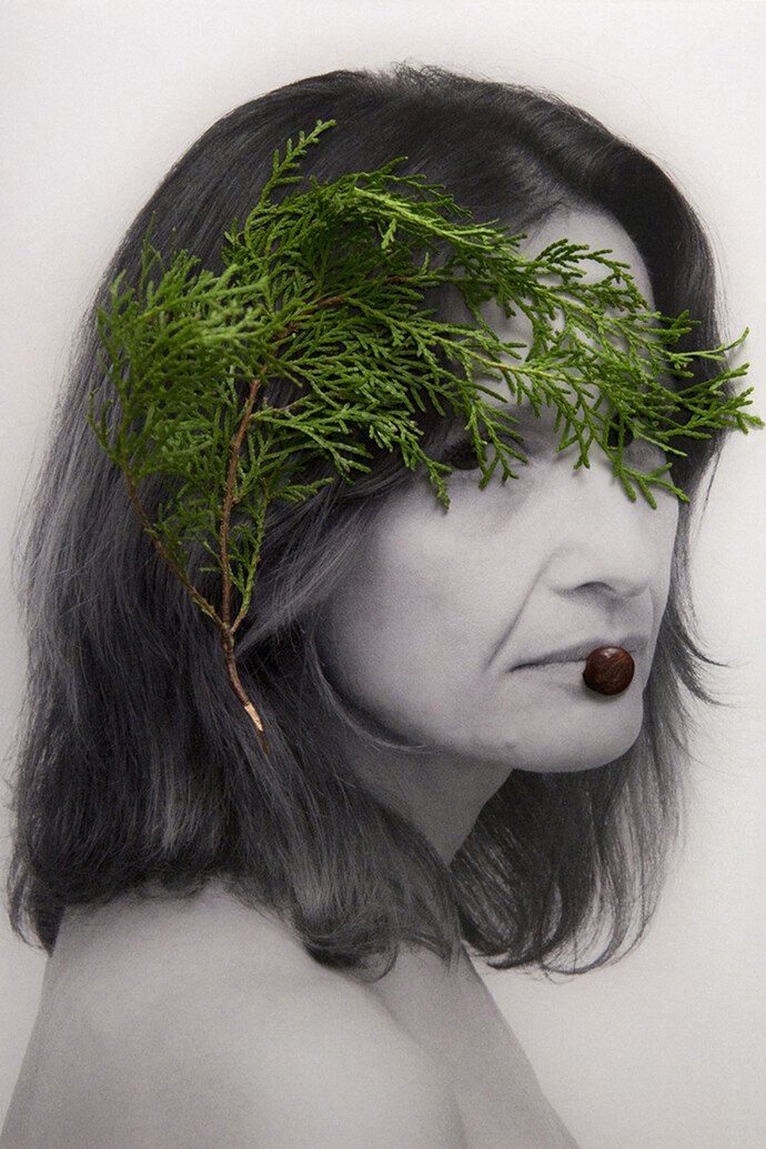 Sabrina Muzi, Daimon 2, 2014, stampa al pigmento, 18,5 x 27 cm