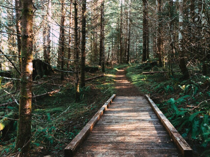 Soy consciente de que surgirán eventos inesperados que alteren mis planes, la inercia de mi trayectoria me impulsa y me ofrece la seguridad de seguir una dirección definida