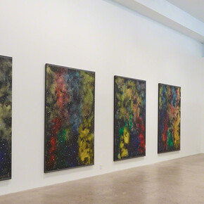 Joe Ray. Complexion Constellation, Exhibition view. Courtesy of Diane Rosenstein