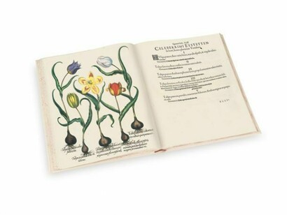 Pagine della versione facsimile del Besler