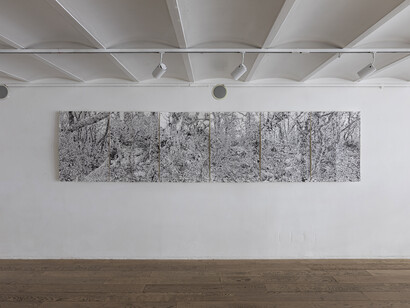 Gastón Herrera, Entre los árboles, vista de exhibición. Cortesía de Praxis