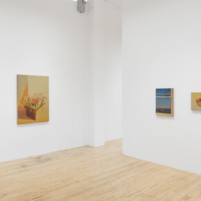 Michelle Paterok, Summer’s edge, exhibition view. Courtesy of Shrine