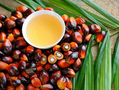 Il famigerato olio di palma
