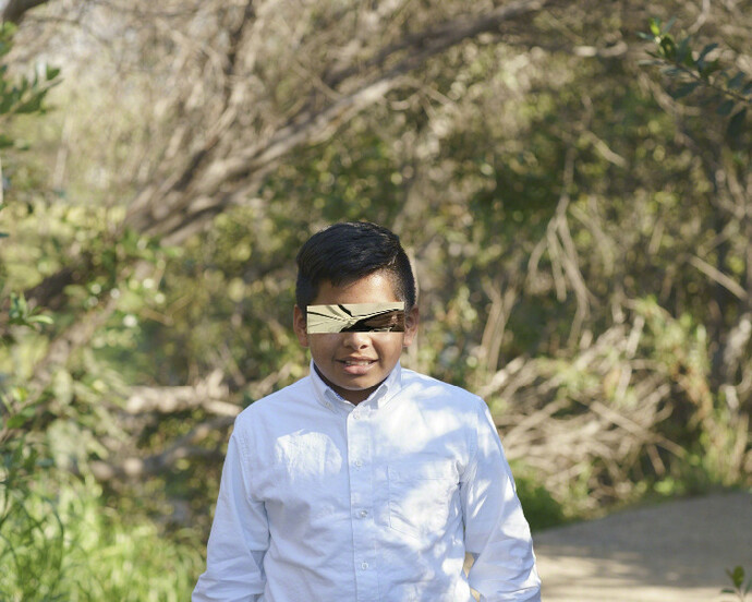 Let It Be The Dream It Used To Be. Courtesy of Anastasia Photo