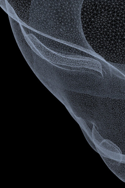 Not A Single Bone. Courtesy of Nome