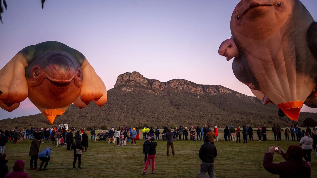 Skywhales across Australia, artwork in exhibition. Courtesy of the National Gallery of Australia