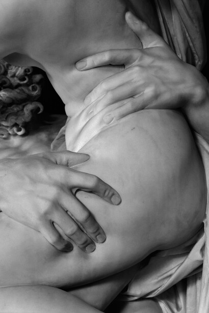 Pino Guidolotti, G.L.Bernini scultore: particolare di Plutone e Proserpina, Galleria Borghese Roma. Editrice Electa Milano 1990. Phaidon Press Londra 1997