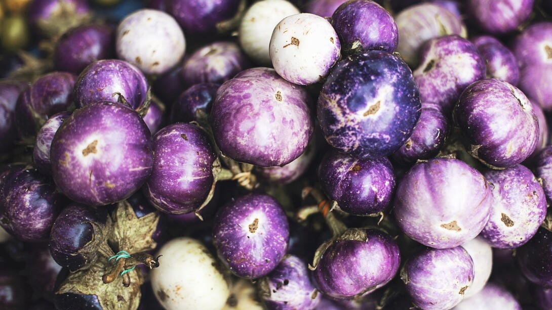 Eggplants