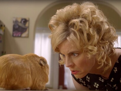 Lady Dynamite