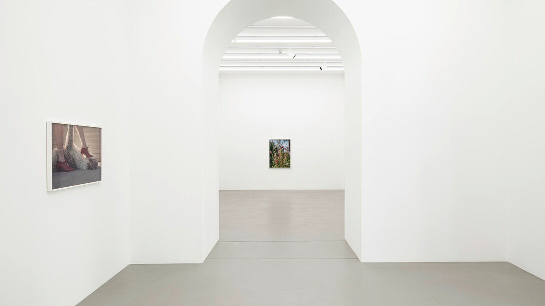 Torbjørn Rødland, Slow life strategies, ausstellungsansicht. Mit freundlicher genehmigung der Galerie Eva Presenhuber