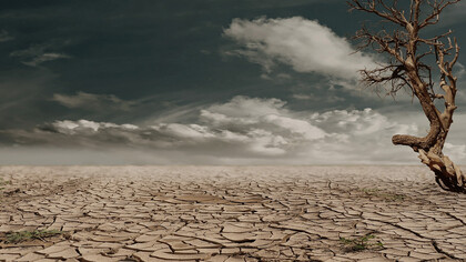 Désertification. Nous avons survécu à une pandémie et à un été de canicules, d'incendies de forêt et de sécheresses, nous sommes au milieu d'une guerre en Europe, allons-nous dans la bonne direction pour arrêter le changement climatique ?