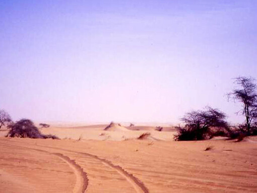 Pista verso Chinguetti