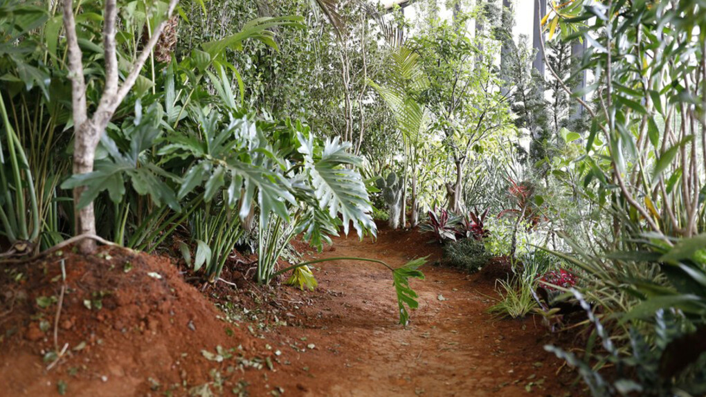 The 35th Panorama of Brazilian Art. Courtesy of The Museum of Modern Art of São Paulo