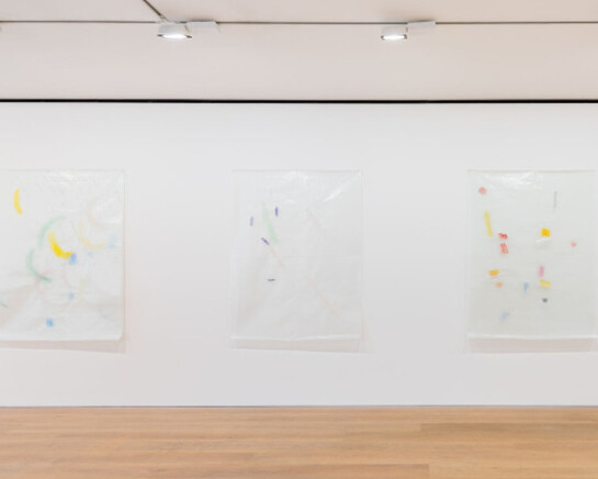 Guy Mees, Exhibition view. Courtesy of David Zwirner 