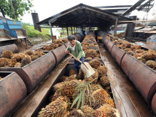 Lavorazione materie prime per biocarburanti