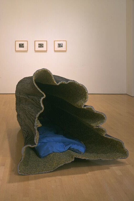 Canadian and Indigenous Art: 1968 to Present. Courtesy of National Gallery of Canada