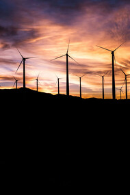 A wind farm representing clean energy